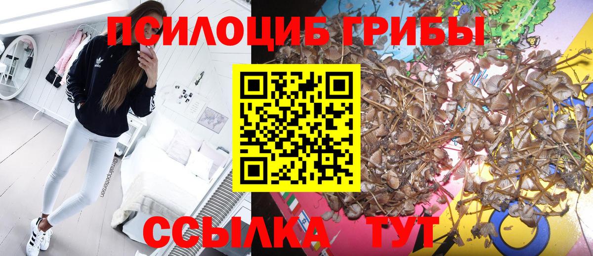 Псилоцибиновые грибы Magic Shrooms  Вход с VPN  Александров 