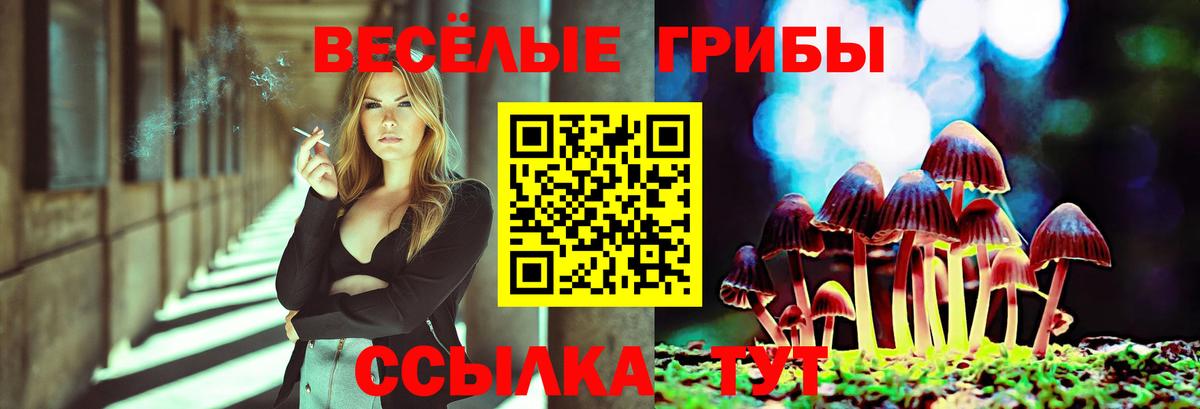 Псилоцибиновые грибы мицелий Александров